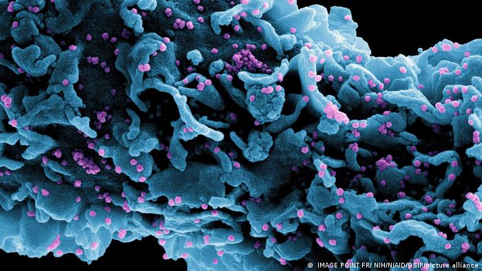¿Es más contagiosa? Detectan preocupante subvariante de ómicron de covid-19; esto sabemos