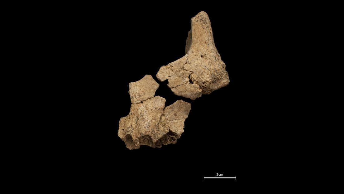 Hallan en España el rostro humano más antiguo de Europa (y puede revelar el origen de la cara moderna)