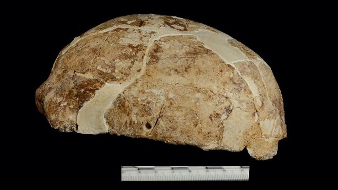 El ADN de una mujer que vivió hace 14.000 años en el sur de China sugiere raíces asiático-orientales de los nativos americanos