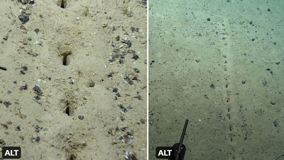 Descubren en el fondo del Atlántico una extraña fila de agujeros «excavados… por algo»