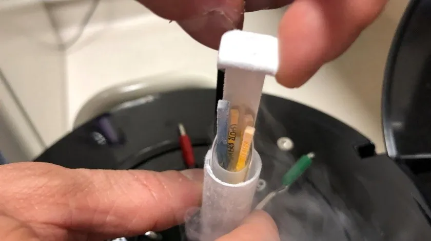 Estudio: Óvulos vitrificados durante largo tiempo mantienen intacta su calidad