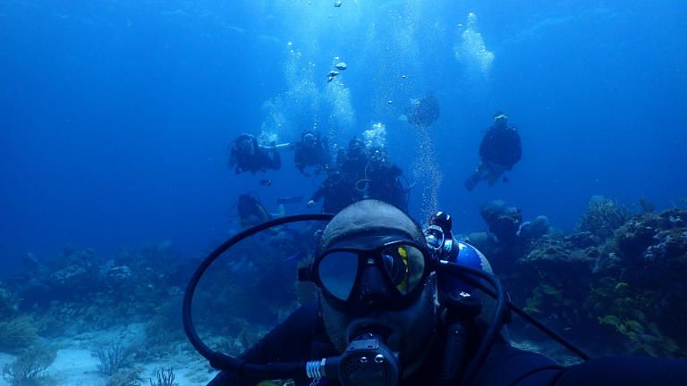 Catástrofe lleva a la extinción a los corales del Caribe mexicano: UNAM