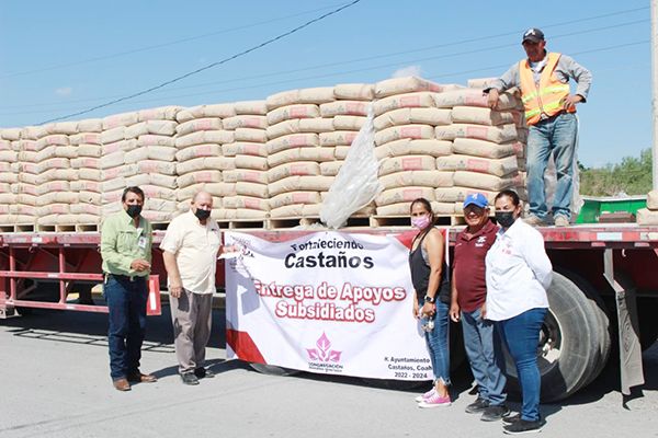 Ofertan en Castaños material a bajo costo