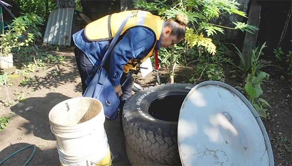 Refuerzan combate contra dengue y zika