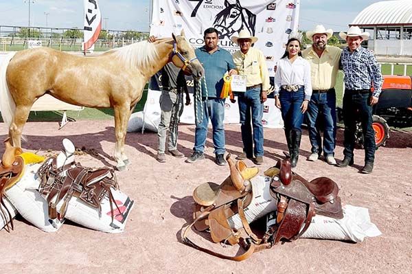 Realizan concurso siete de Conformación de Caballos