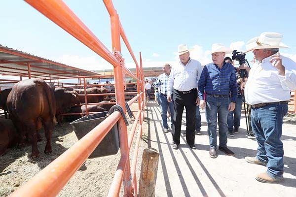 Apoya Saltillo a productores