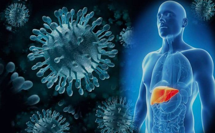 Día Mundial contra la Hepatitis: con el foco puesto en la B y la C