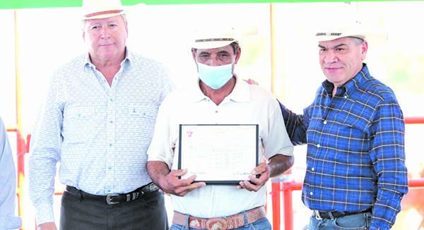 Entrega Gobernador sementales bovinos