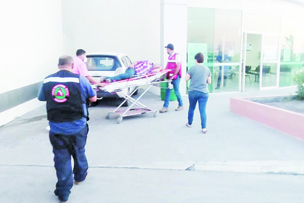 Picadura de abeja lo manda al hospital