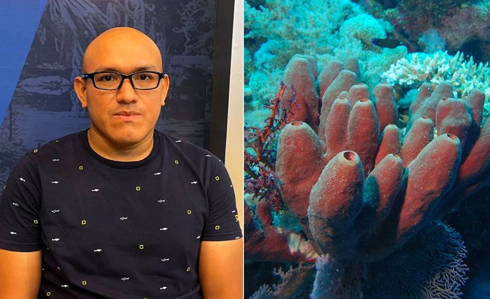 Biólogo mexicano descubre que las esponjas marinas podrían combatir al Covid-19