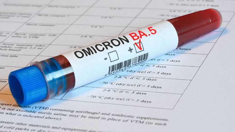 ¿Te contagiaste con ómicron? Estás más protegido contra subvariante BA.5, revela estudio