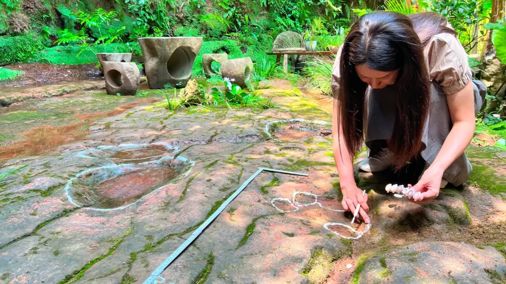 Encuentran huellas de dinosaurio de 100 millones de años en un restaurante de China