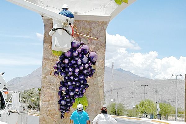 Decoran con uvas Cuatro Ciénegas