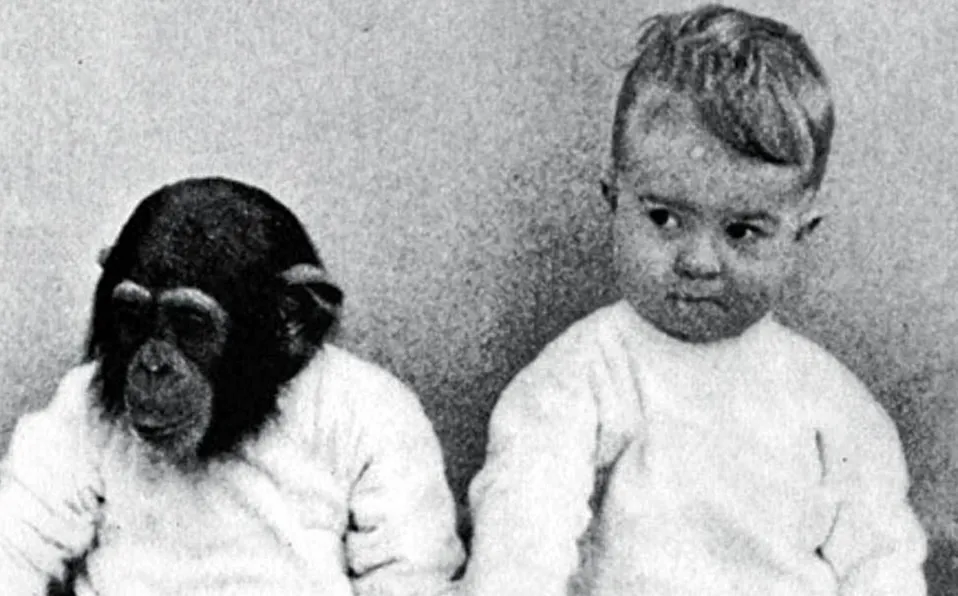 El polémico experimento de criar a un bebé con un chimpancé como si fueran hermanos