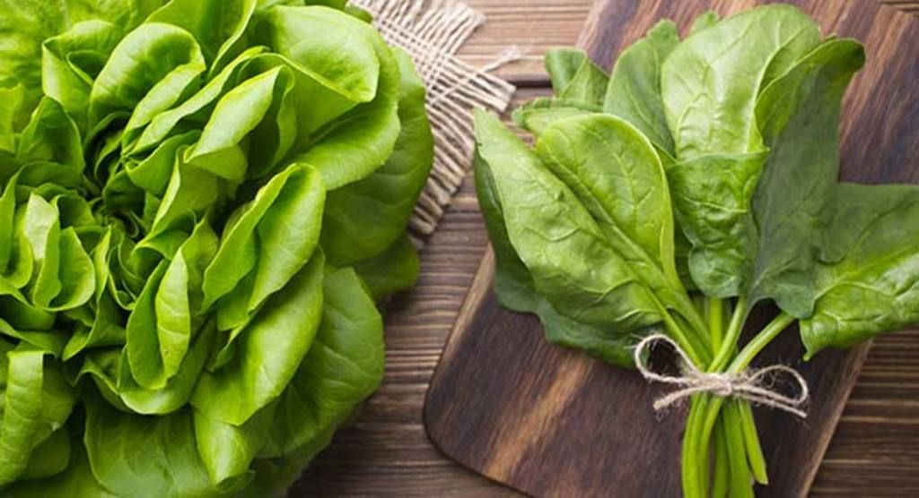 ¿Qué pasa si comes espinaca y lechuga todos los días?