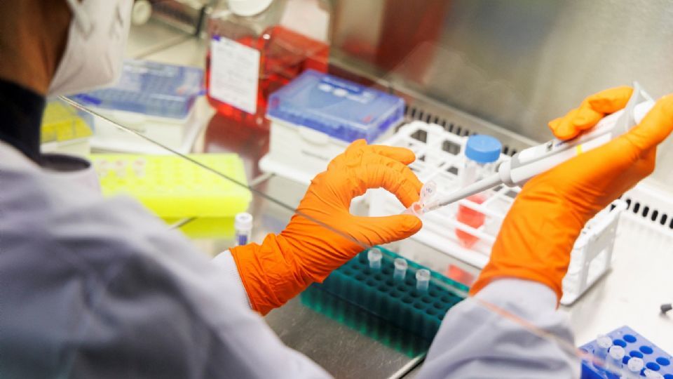 La vacuna bávara nórdica contra la viruela del simio recibe aprobación preliminar del regulador de medicamentos de la UE