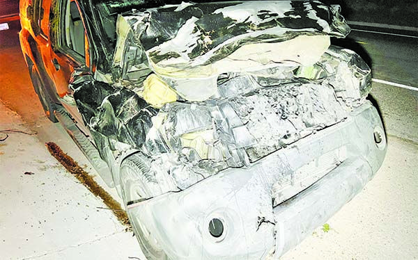 Vaca destroza camioneta en la 57