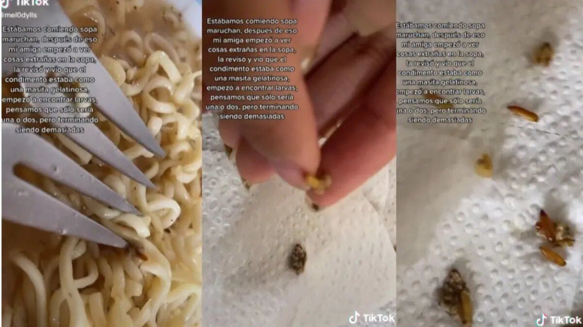 Jóvenes encuentran gusanos en sopa instantánea y lo comparten por TikTok