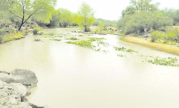 Refleja aumento de agua el río Sabinas