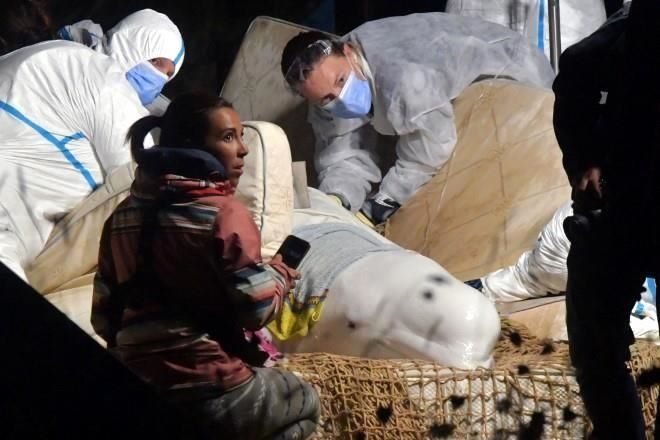 Sacrifican a Beluga tras rescatarla en el río Sena