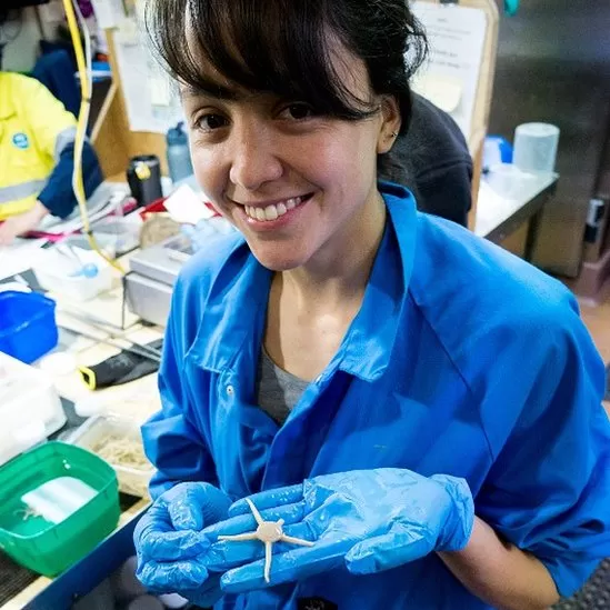 “Son especies totalmente nuevas”: la científica mexicana que está ayudando a revelar las increíbles criaturas del fondo del océano