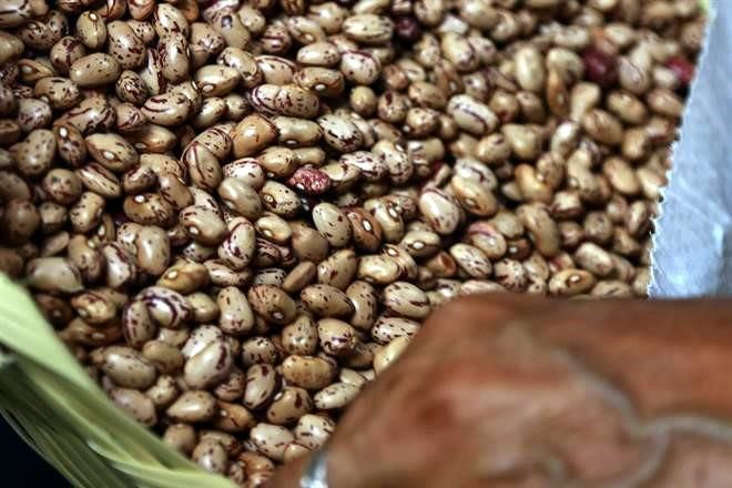 Frijoles, un alimento cuyo precio sí ha bajado
