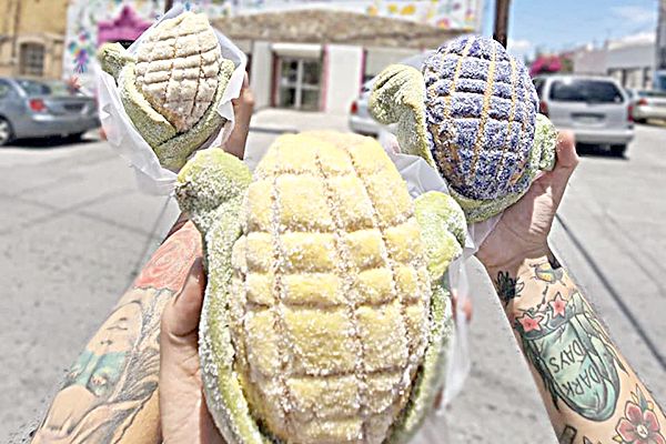 Nace en Saltillo la ‘conchaelote’