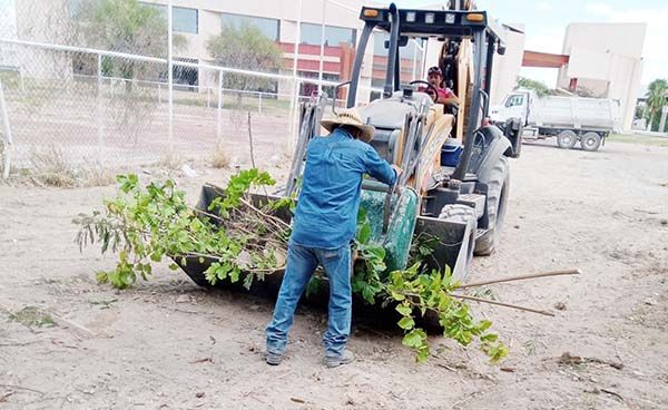 Apoya Frontera limpieza en FCA