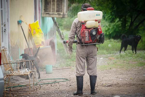 Arrancan fumigación ante constantes lluvias