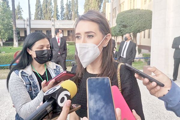 Mantienen los programas de reforestación urbana