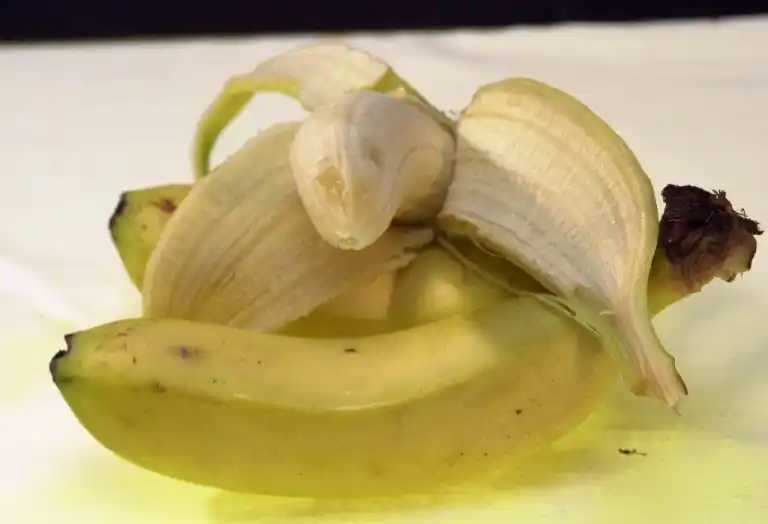 El plátano: propiedades, beneficios y mitos