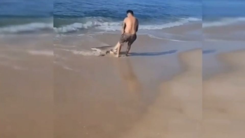 Hombre lucha contra un tiburón en una playa de Nueva York: VIDEO