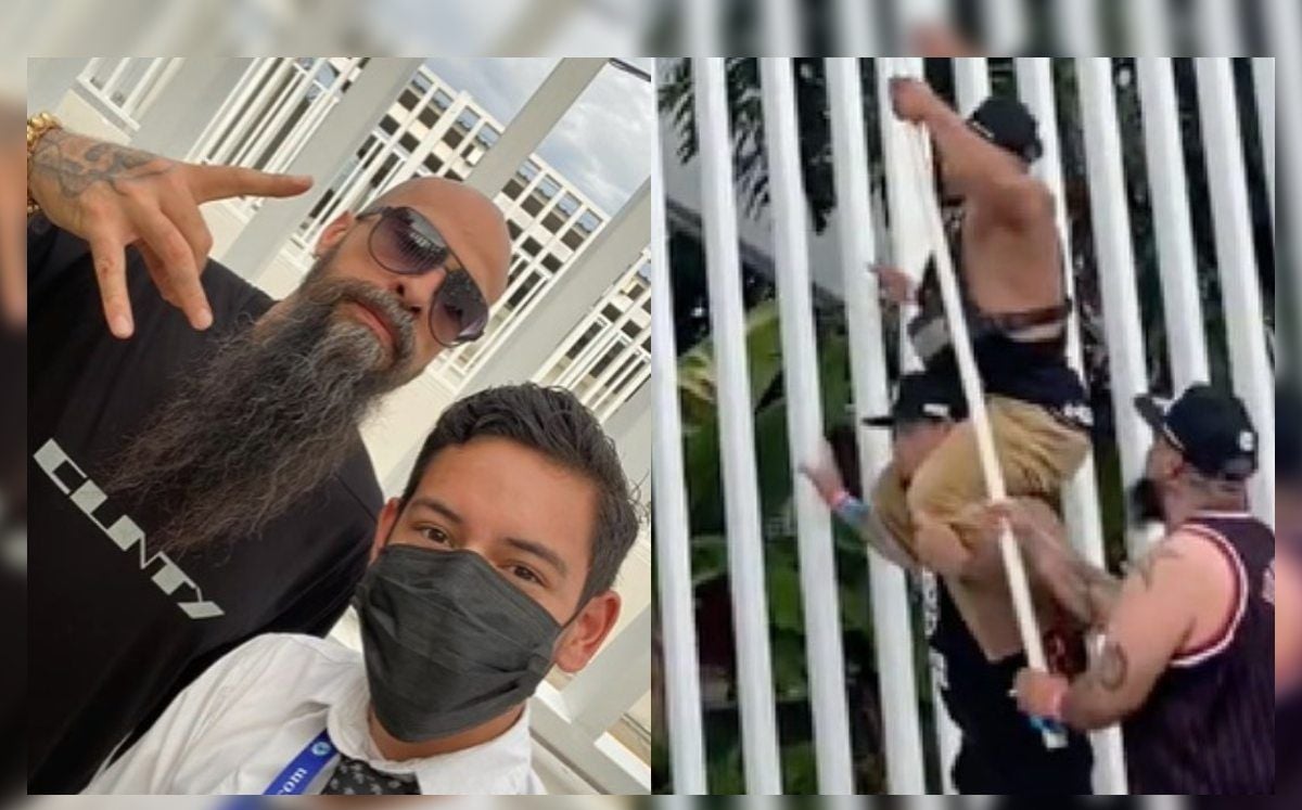 ¡Babo al rescate! Jóvenes intentaban cortar mangos de un árbol y Cartel de Santa los ayudó