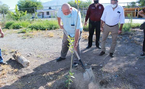 Reforesta Grupo Fox escuelas de Castaños