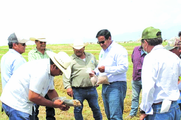 Realizan muestreo de suelo en 4Ciénegas