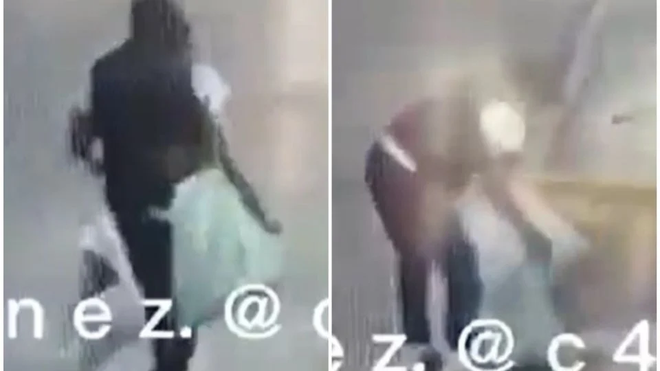 Mujer abandona a 5 perritos en calles de Chimalhuacán y causa indignación: VIDEO