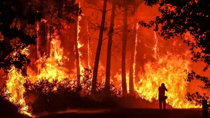 Qué son los «incendios zombi», qué otros tipos de fuegos hay (y cuál lleva ardiendo al menos 6.000 años)