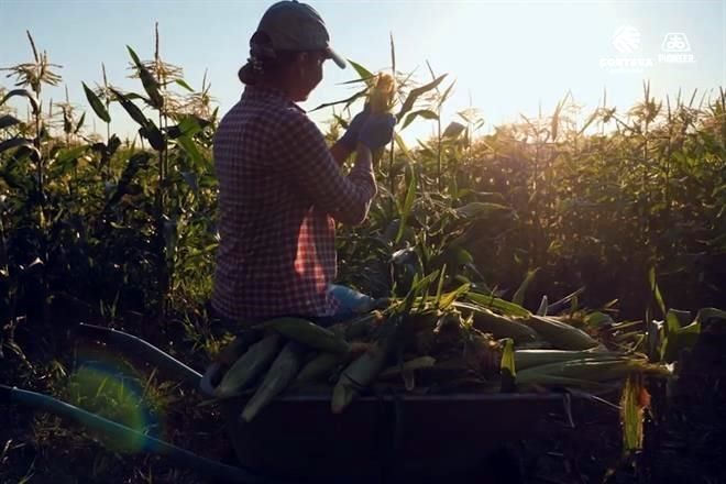 Centran en ‘dádivas’ presupuesto al agro