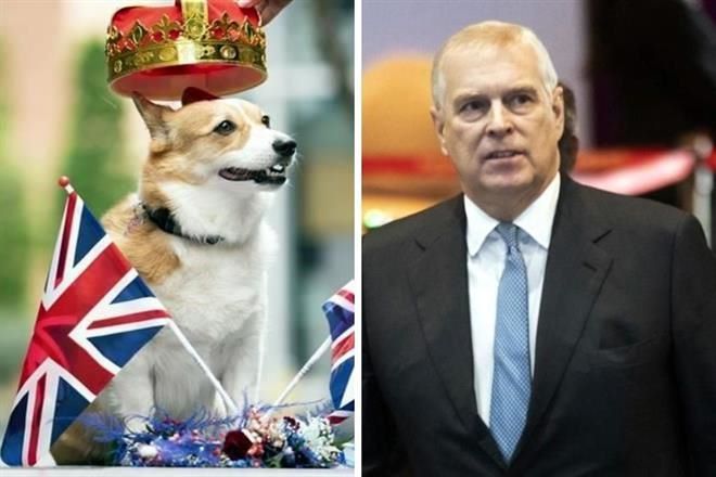 Adopta Príncipe Andrés a los corgis de la Reina Isabel II