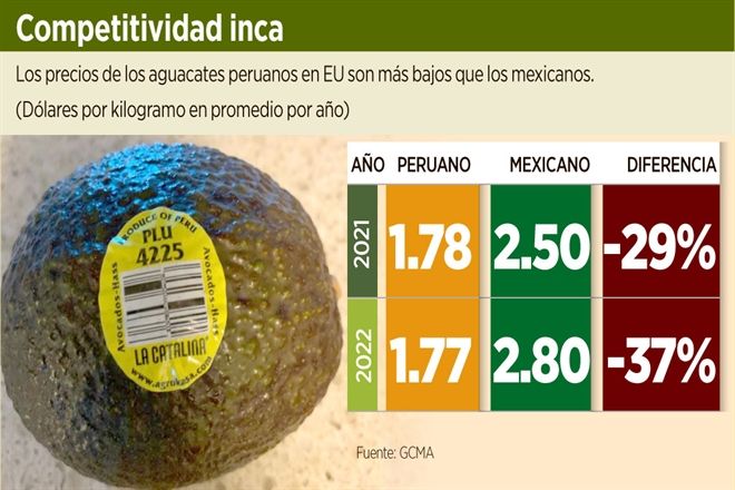 Viene a competir aguacate de Perú