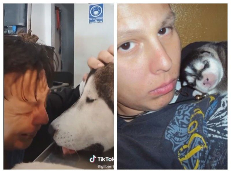 ¡Para llorar! Joven comparte el último adiós a su mejor amigo, un husky
