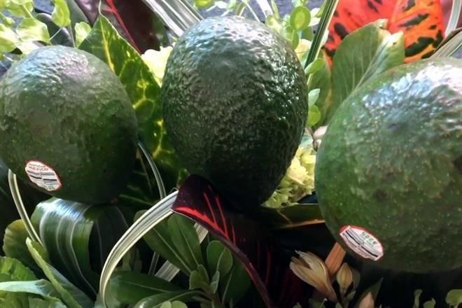 Alcanzan 4 mil mdd importaciones de aguacate mexicano en EU
