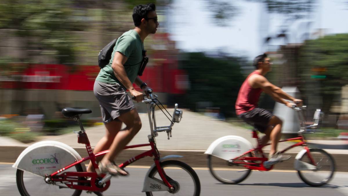 ¿Vida fitness? Estos son los mejores tipos de ejercicio, según Harvard