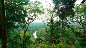 Dentro de un pueblo maya donde los lugareños viven sin electricidad y luchan por preservar su cultura