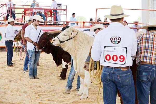 Celebran tradicionales concursos en Saltillo