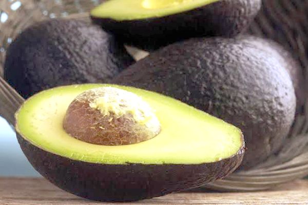 Invita IMSS a incluir aguacate en la dieta