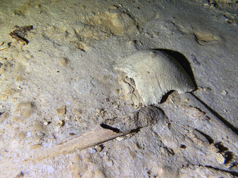 Tren Maya: Encuentran esqueleto prehistórico de 8 mil años en un cenote cercano a la ruta
