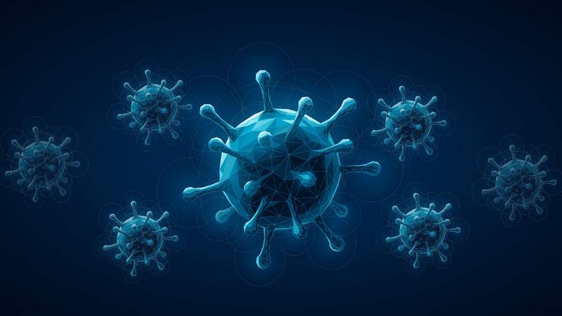 No solo los sismos: Coxsackie y otros virus que ‘nos quitan el sueño’