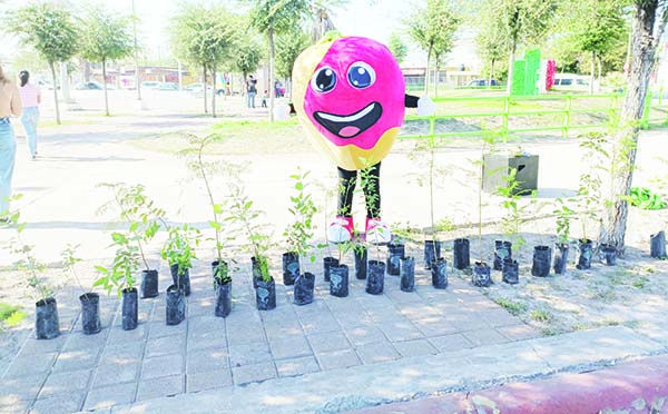 Llevan a cabo Cáritas la dinámica “Frijotón”