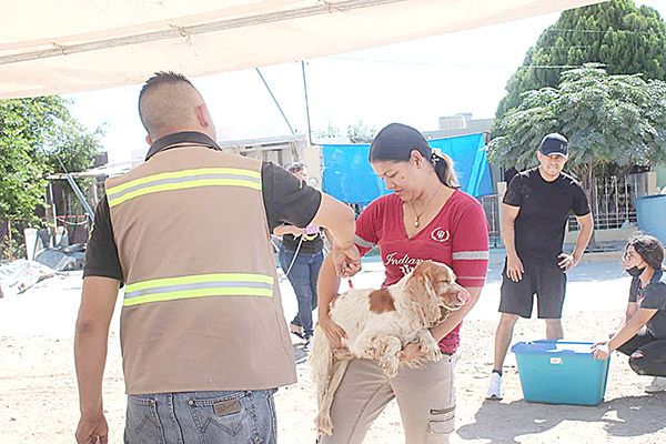 Gran éxito la campaña de vacunación canina